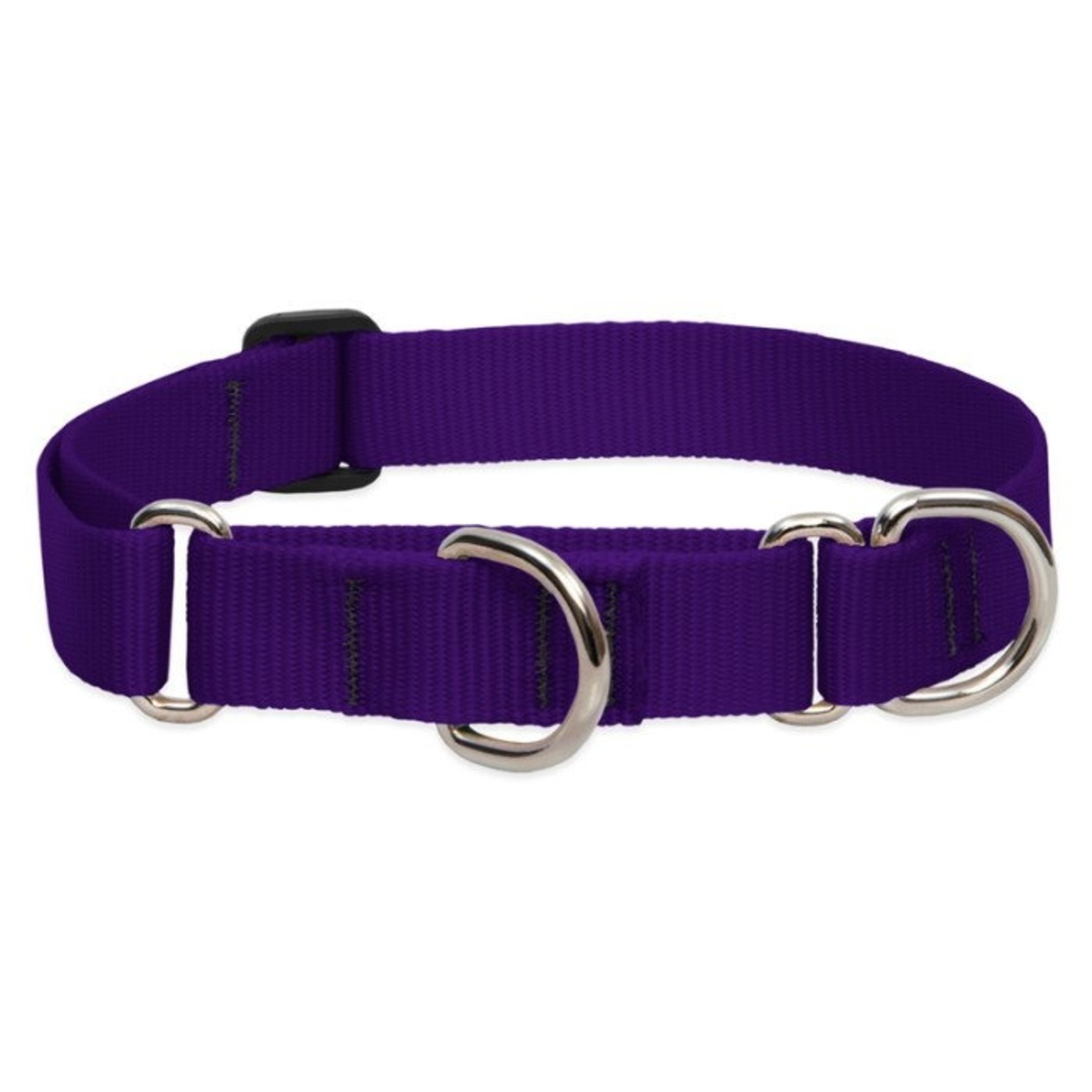 Lupine Lupine 1in Martingale Style Dog Collar