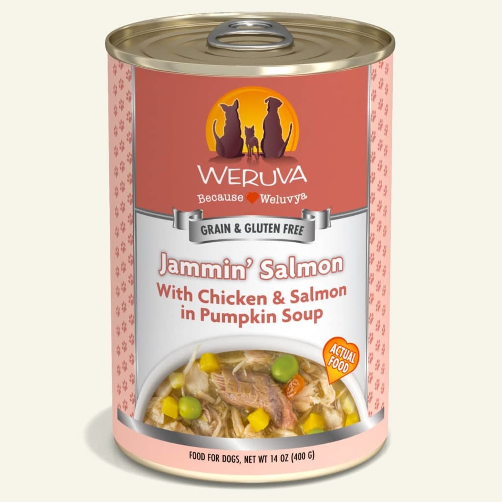 Weruva Weruva Classic Wet Dog Food Jammin' Salmon with Chicken and Salmon in Pumpkin Soup 14oz Can Grain Free