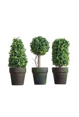 6" topiary DE3129A