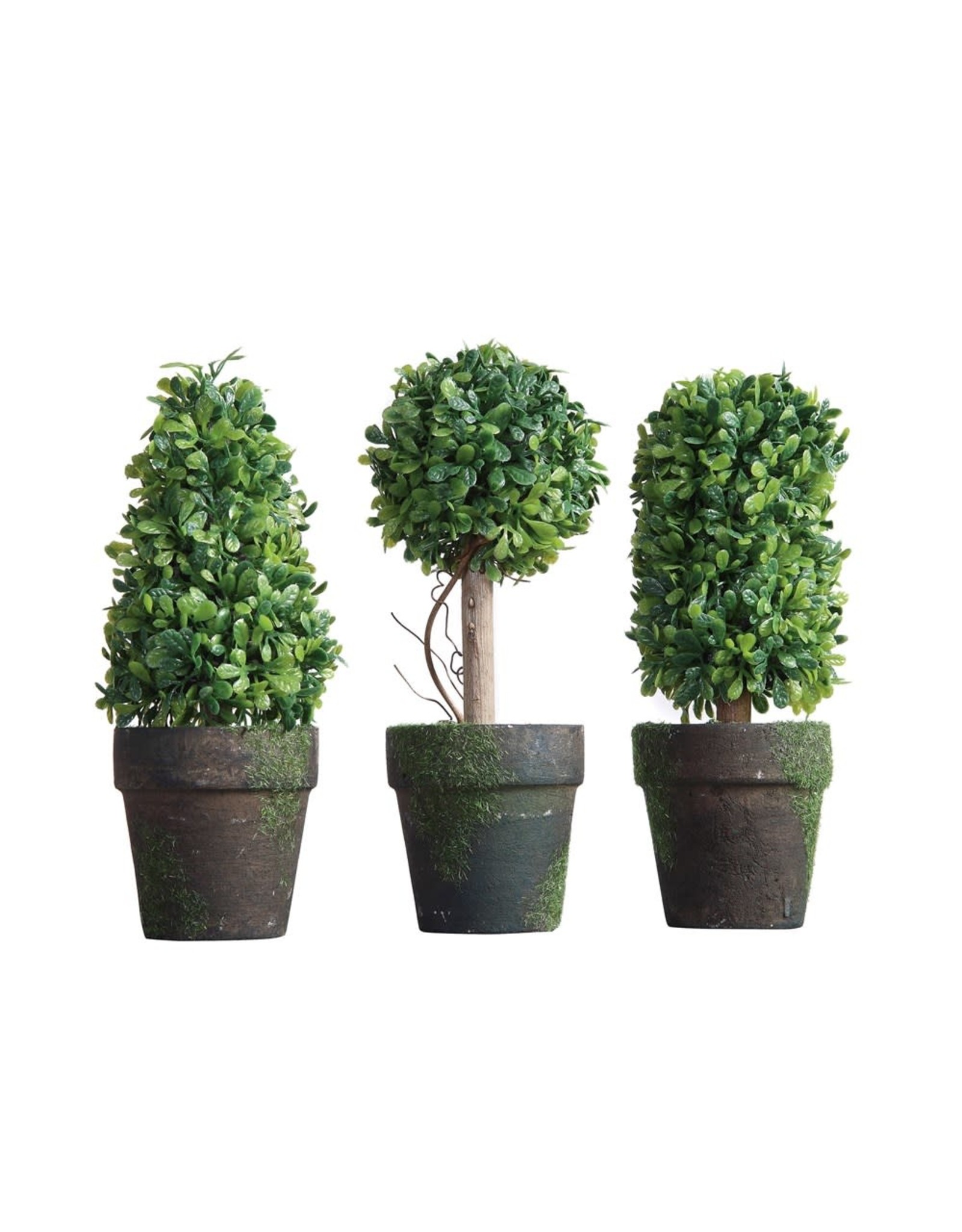 6" topiary DE3129A