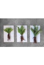 DF0941A 15 " Faux Fern W/ exposed roots