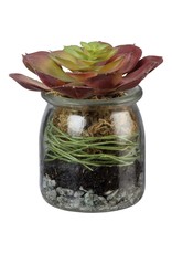 102347 Jar Rosette Red Succulent