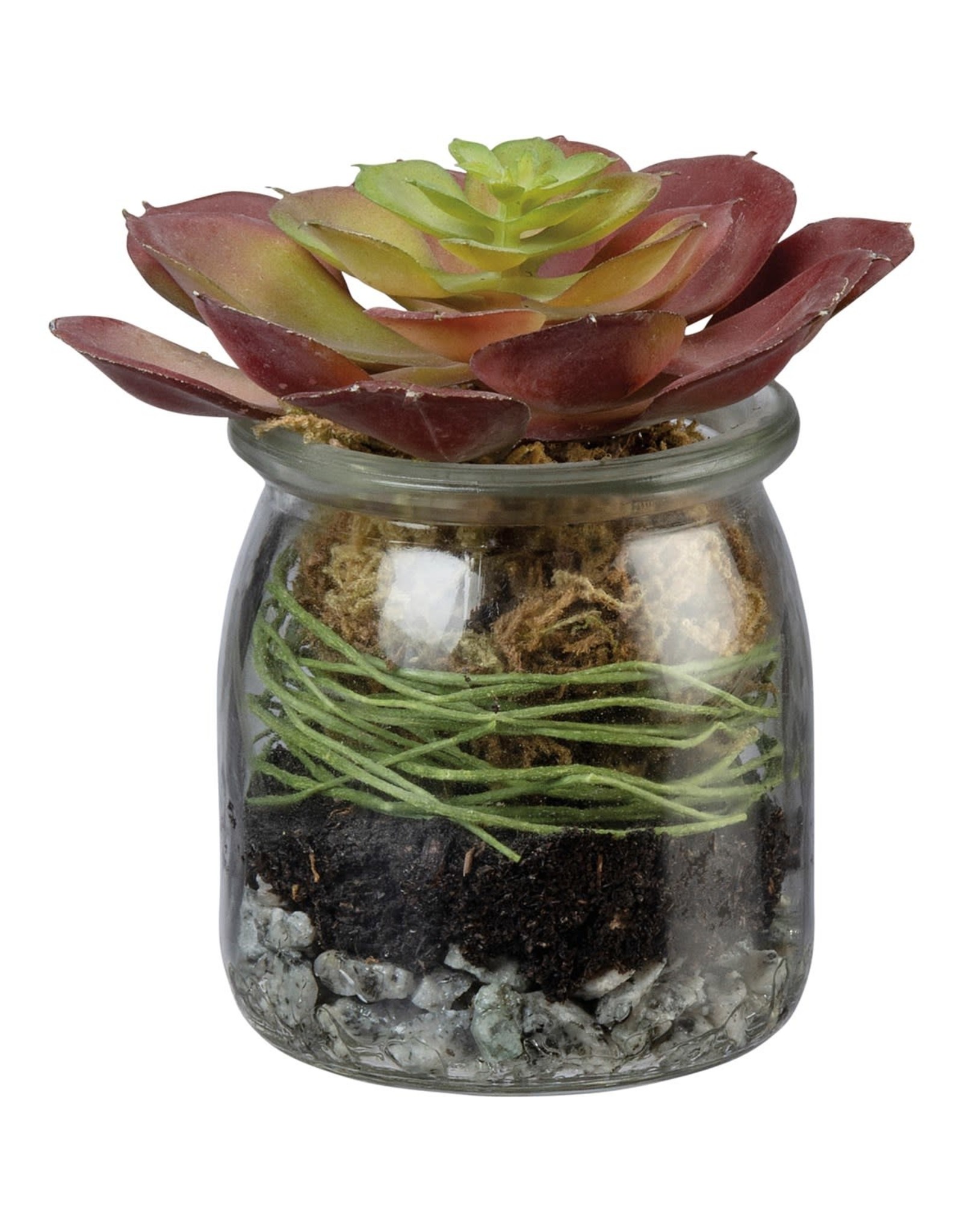 102347 Jar Rosette Red Succulent