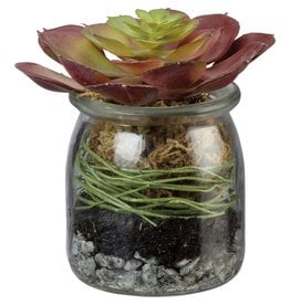 102347 Jar Rosette Red Succulent