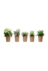 Plastic Herbs in Paper Pot, 5 Styles DF3456A