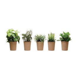 Plastic Herbs in Paper Pot, 5 Styles DF3456A