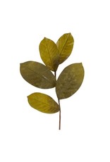 83251 Magnolia Leaf Spray 15"H