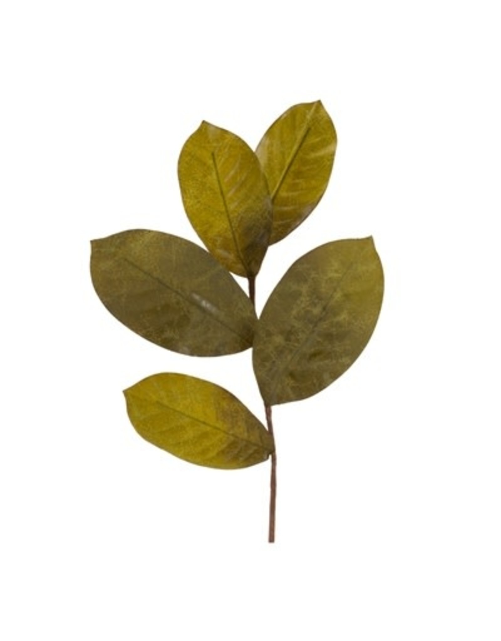 83251 Magnolia Leaf Spray 15"H