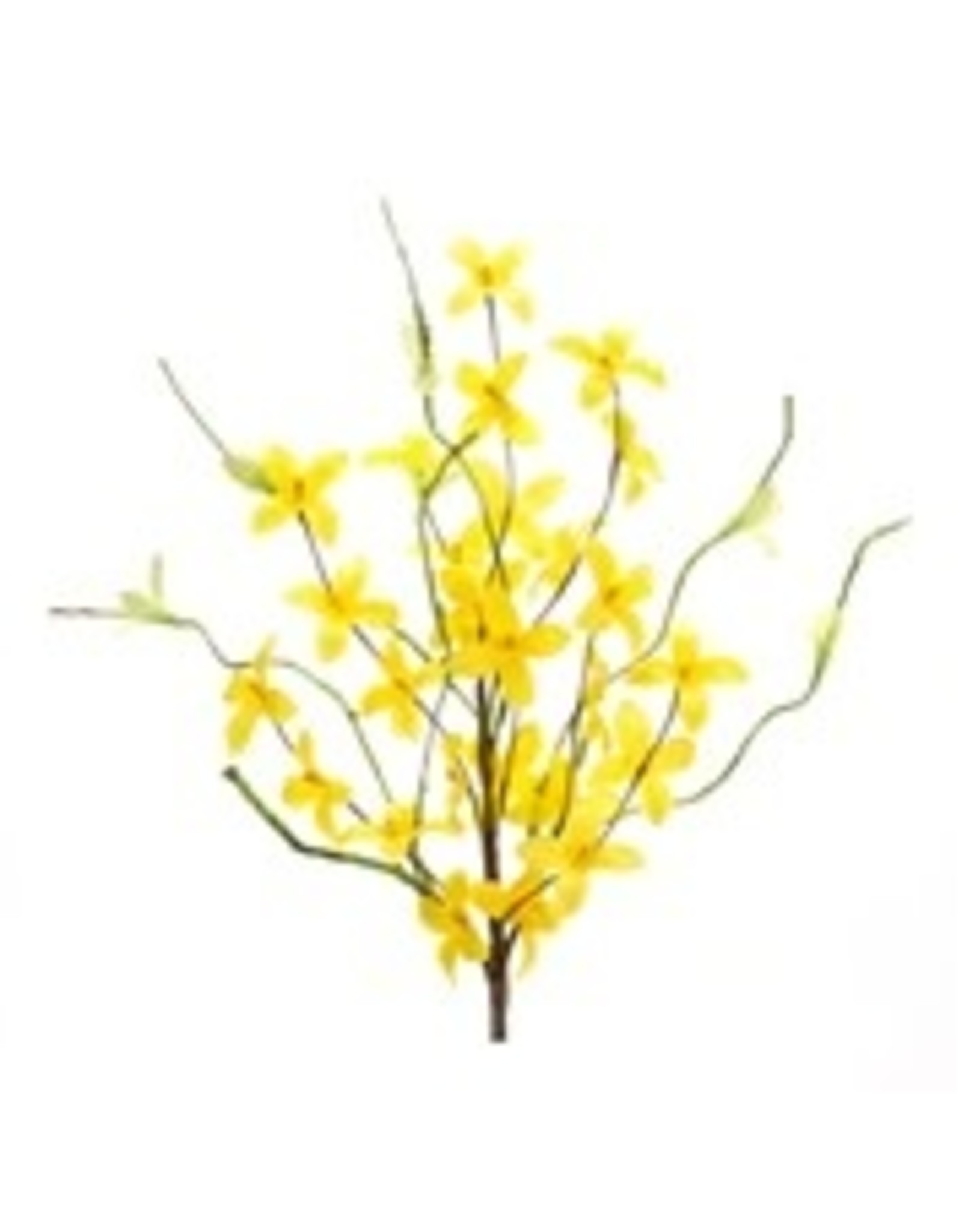 Forsythia Pick 19"H Polyester