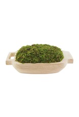 40930048 Preserved Moss Handle Pot