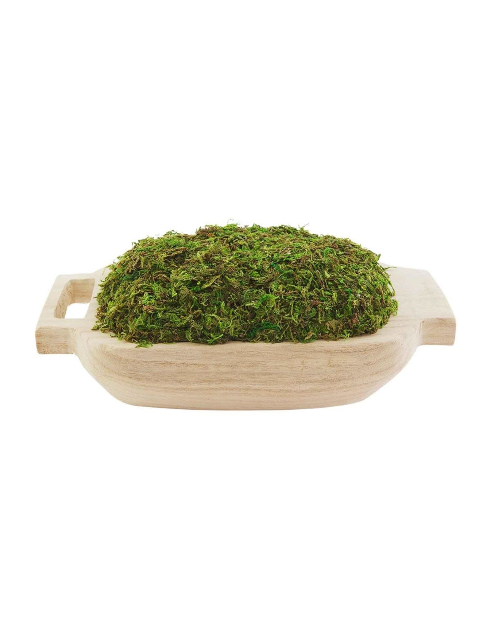 40930048 Preserved Moss Handle Pot