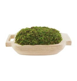 40930048 Preserved Moss Handle Pot