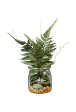 106475 Jar Boston Fern
