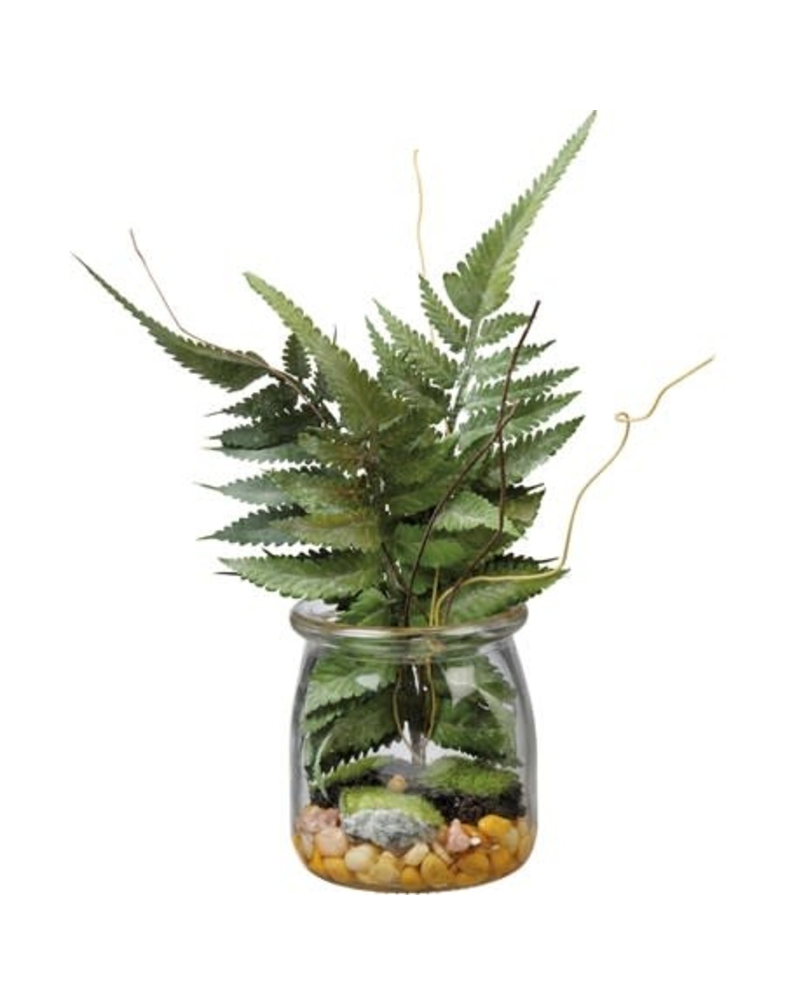 106475 Jar Boston Fern