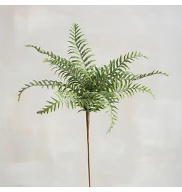 107240 Pick Marsh Fern