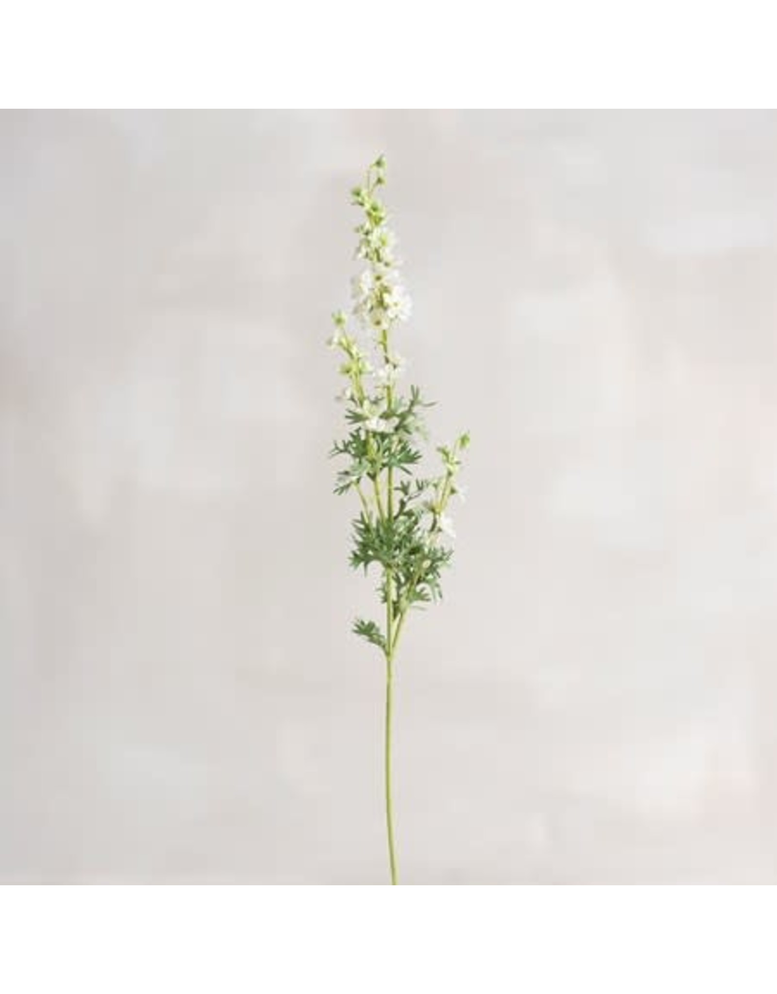 109944 Pick White Delphinium