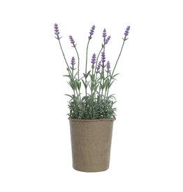 DF0918 Faux Lavender in Paper Pot