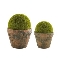 40930047 Preserved Moss Pot