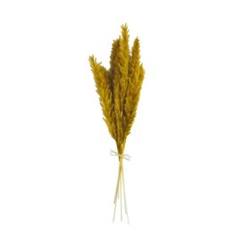 40940100 Pampas Grass Bundle