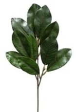 82022 Magnolia Leaf Spray 34"