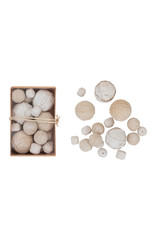 DF5795  Dried Natural Organic Orbs in Box