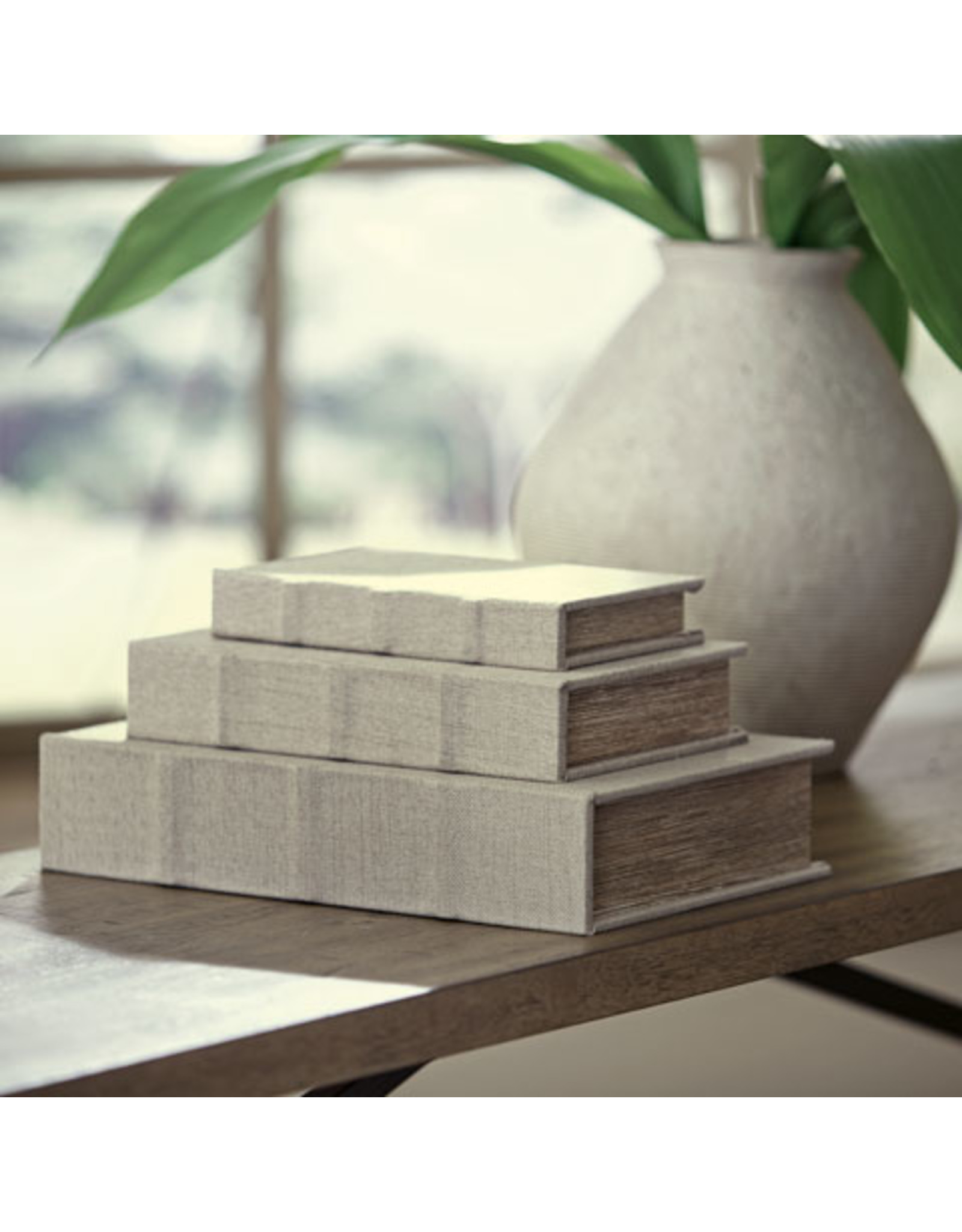 A2000486 Faux Book Box