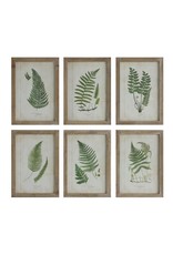 Wall Art Ferns 6 Styles EACH DA6912A