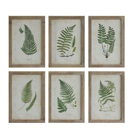 Wall Art Ferns 6 Styles EACH DA6912A