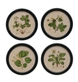 DF3358A Round Framed Botanical Print 4  Styles