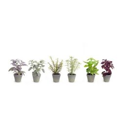 70457 Potted Herb (6 Asst) 7"H