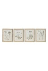 DF1979A 17.75 x 23.5 Botanical Print 4 Styles EACH