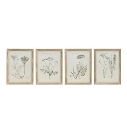 DF1979A 17.75 x 23.5 Botanical Print 4 Styles EACH