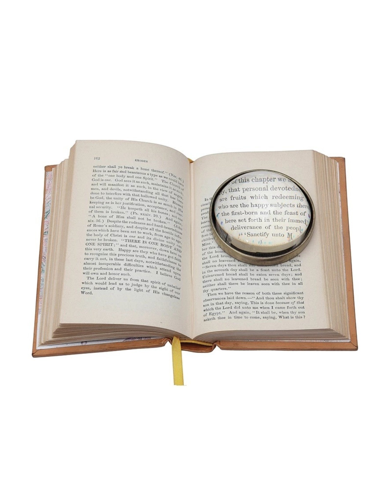 Paperweight Magnifier DE0386