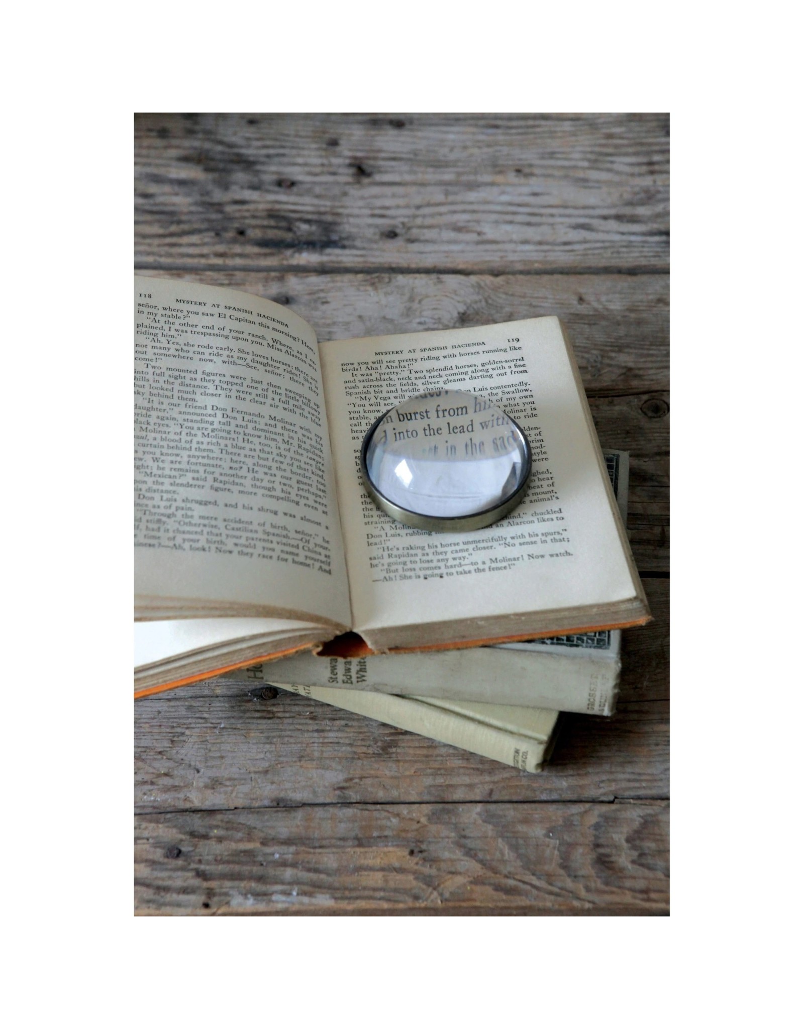 Paperweight Magnifier DE0386