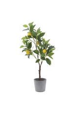 DF0921 Faux Lemon Tree in Cement Pot