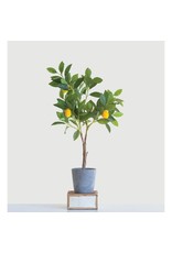 DF0921 Faux Lemon Tree in Cement Pot