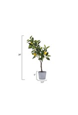 DF0921 Faux Lemon Tree in Cement Pot