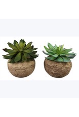 Succlent in Stone Pot 2 styles, each 20967