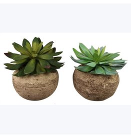 Succlent in Stone Pot 2 styles, each 20967