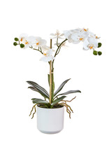 4002179 Real Touch Potted Orchid 18.5