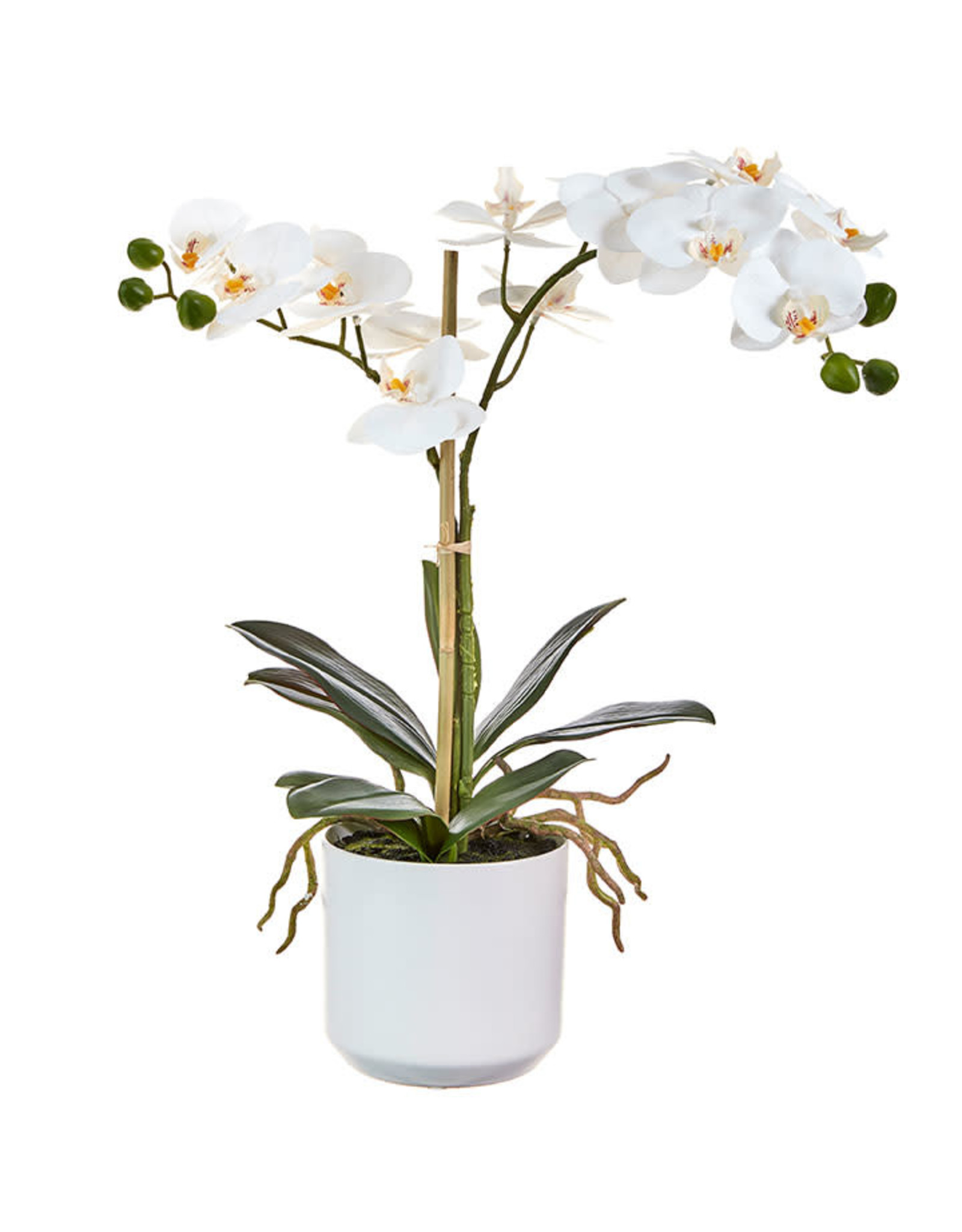 4002179 Real Touch Potted Orchid 18.5