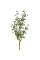 F4002062 36" Eucalyptus bundle