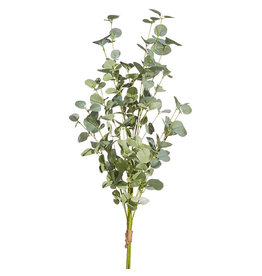 F4002062 36" Eucalyptus bundle