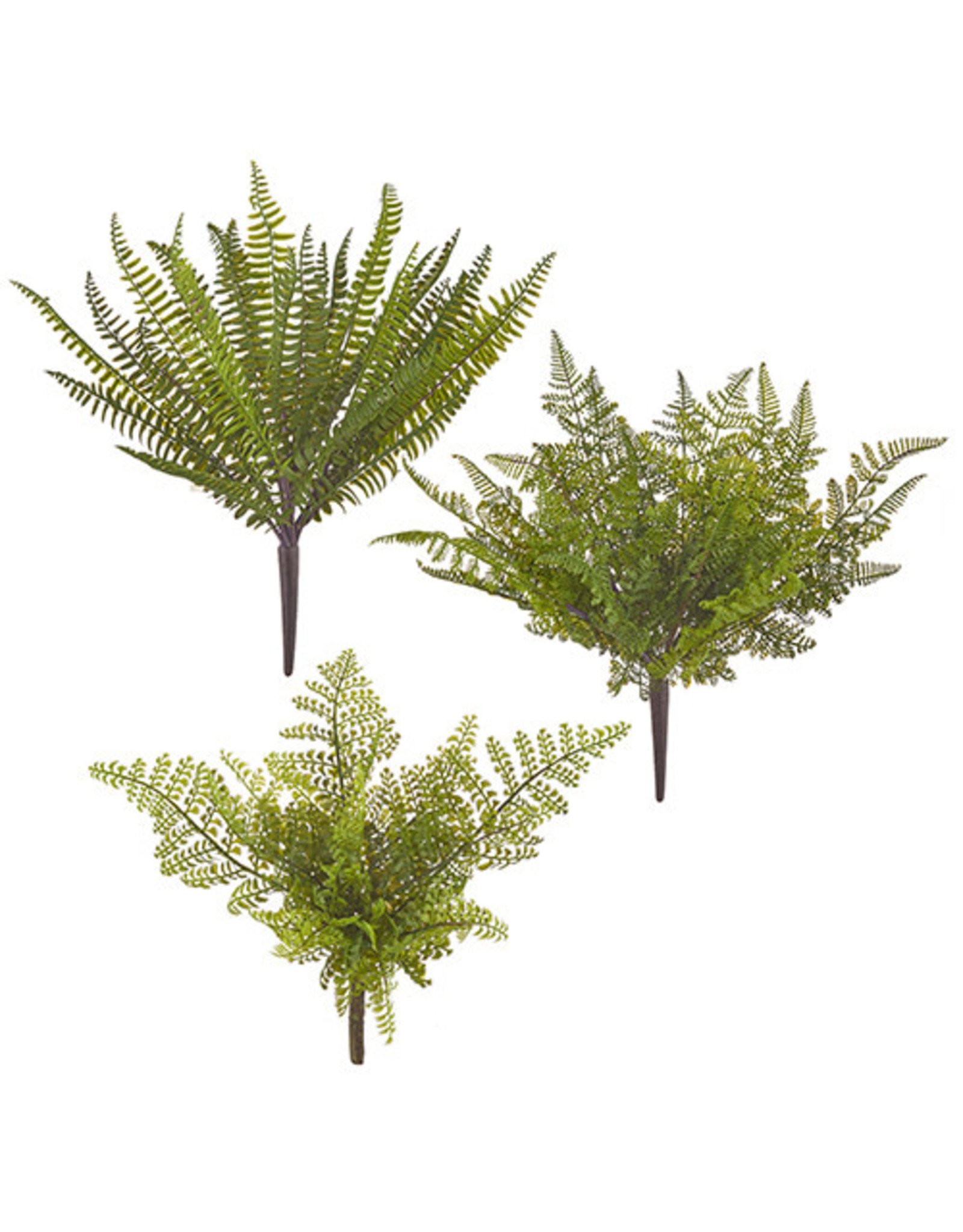 F3702153 15" Fern Bush