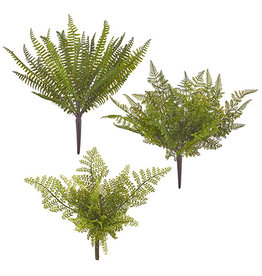 F3702153 15" Fern Bush