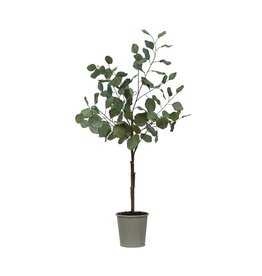 Faux Eucalyptus Tree In Pot DF6422