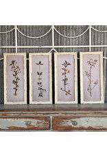 Pressed Botanical Prt 4 styles each EWA90019