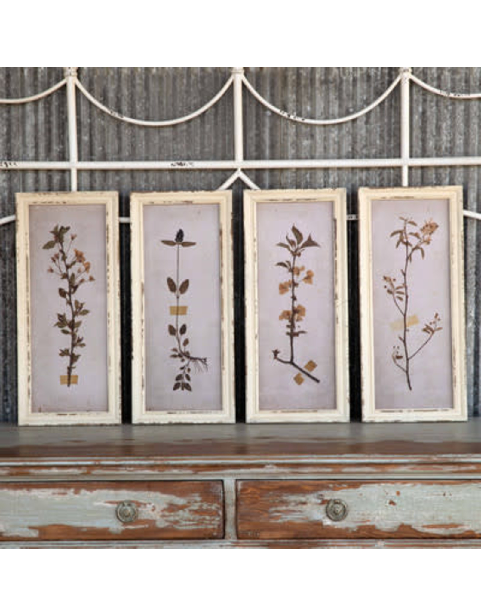 Pressed Botanical Prt 4 styles each EWA90019