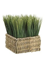 ZPG157 Grass in Basket