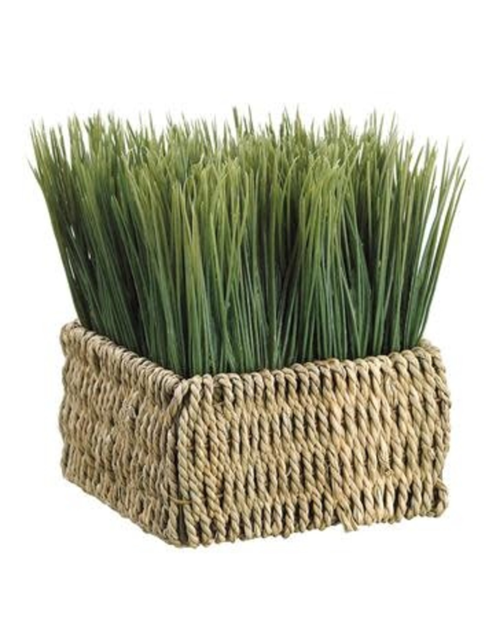 ZPG157 Grass in Basket